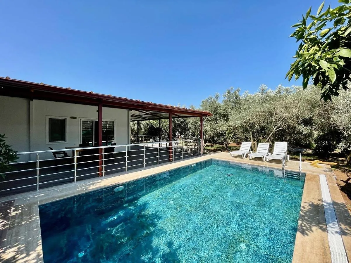 Villa Avci Villa-Fethiye 3+1 In Garden With Private Pool, 10 Minutes To The Beach Turkey